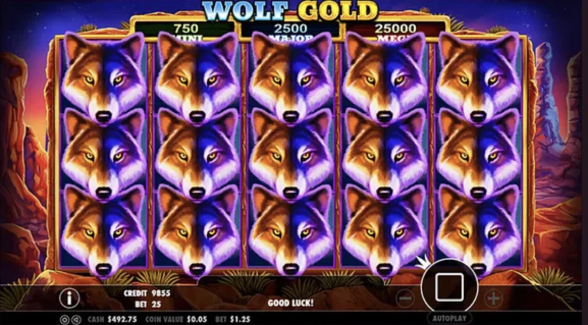 Como jogar Wolf Gold com dinheiro real